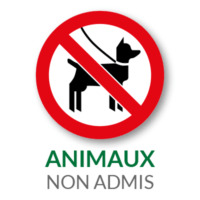 villa-rivalin-animaux-intedits villa-rivalin-animaux-intedits