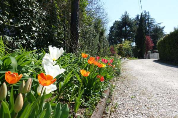 jardin-fleurs-locatin-aix-les-bains-19