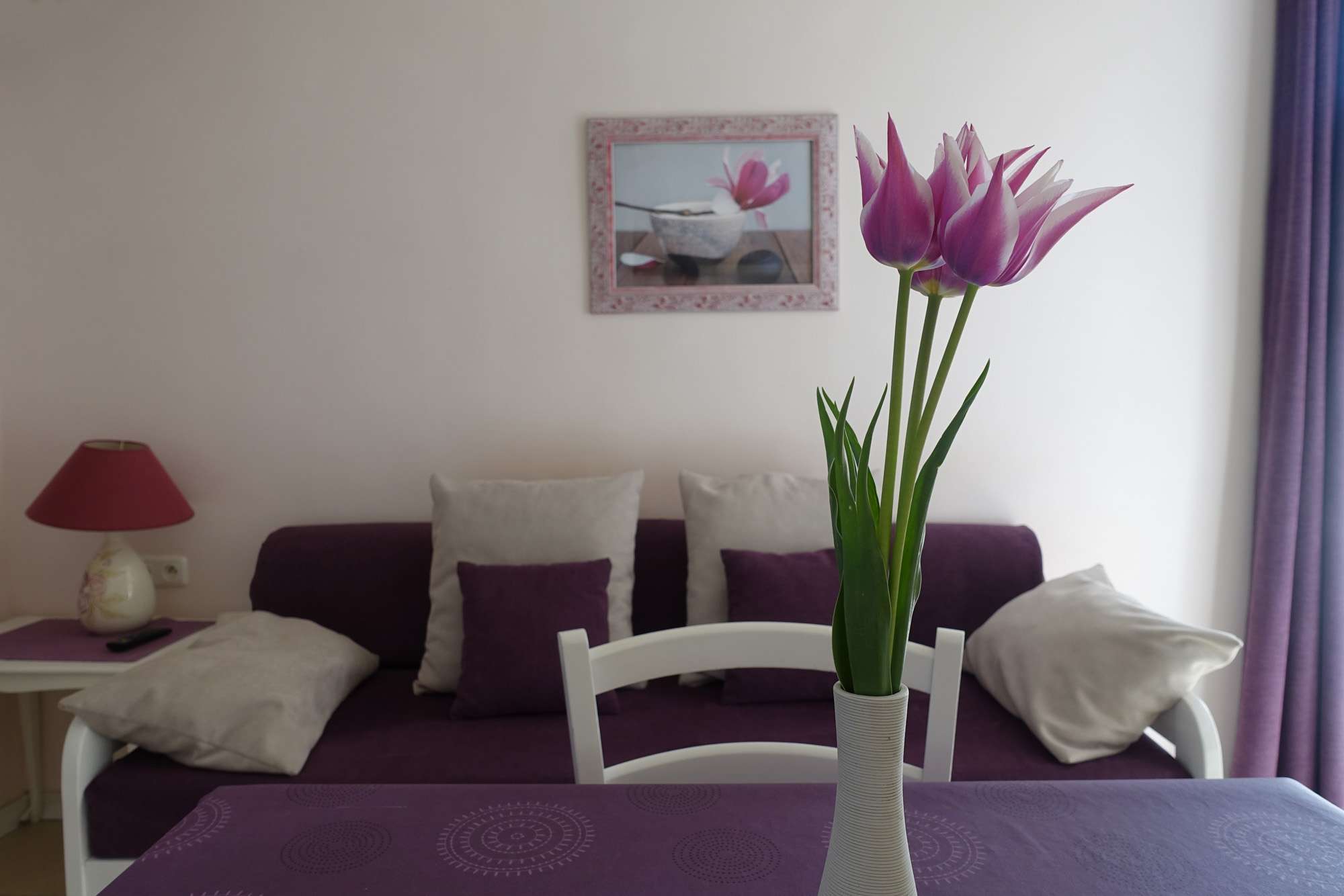 location-curiste-aix-les-bains-valvital-28